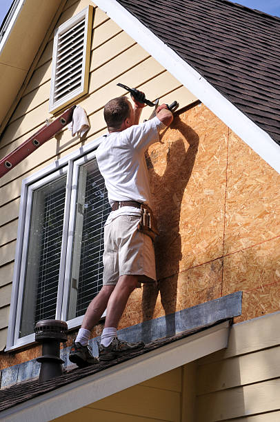 Best Insulated Siding Installation  in Hines, OR